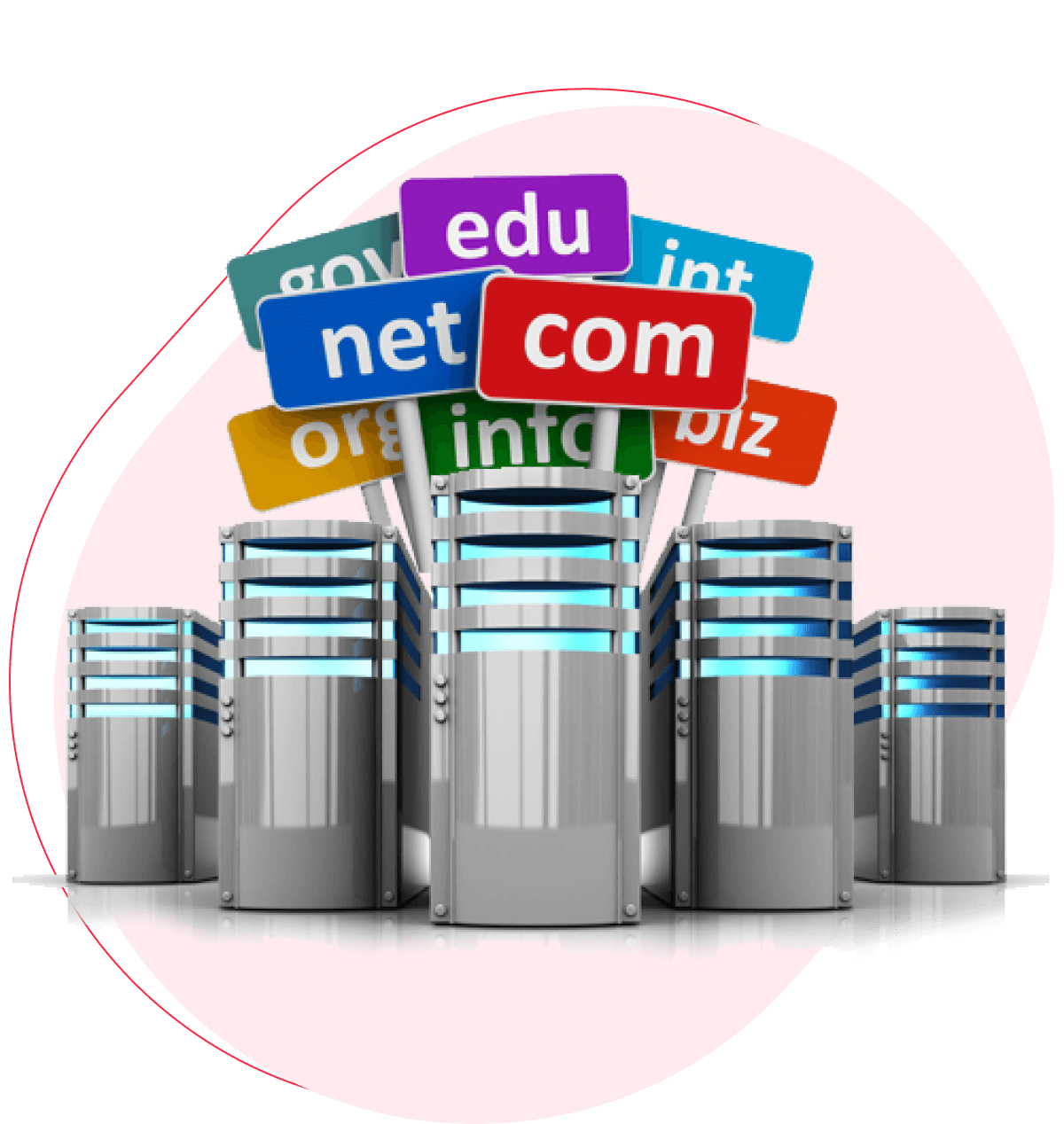 Domain & Hosting